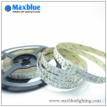 DC24V 240LED / M Double rangée 3528 SMD LED Strip Light